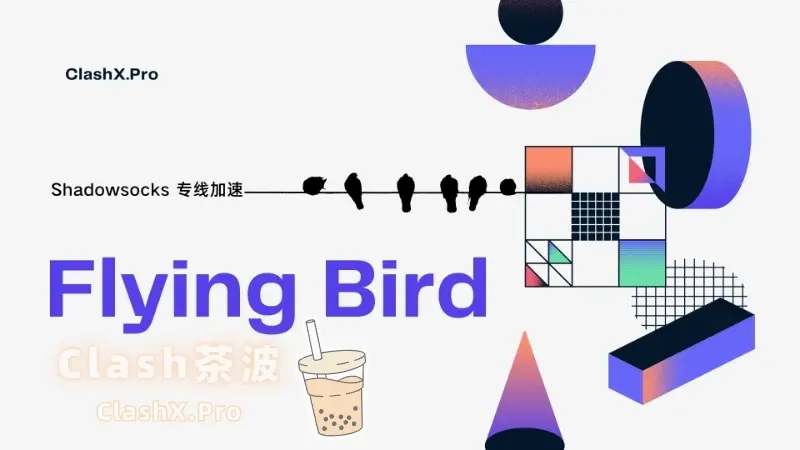 FlyingBIrd 飞鸟机场 FlyingBIrd 飞鸟机场