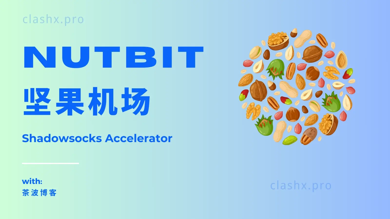 Nutbit 坚果机场官网 Nutbit 坚果机场官网