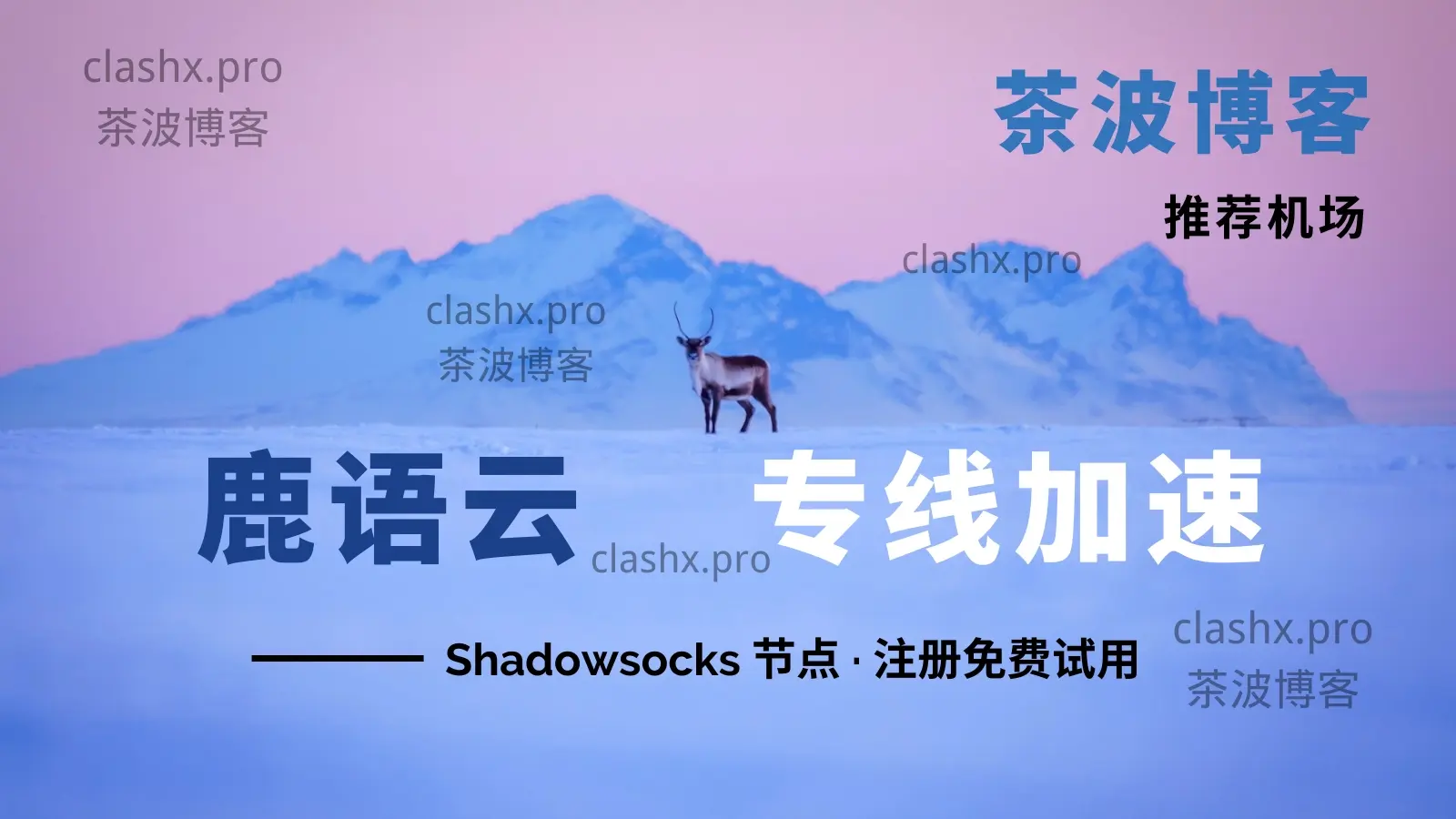 鹿语云 专线机场 鹿语云 专线机场