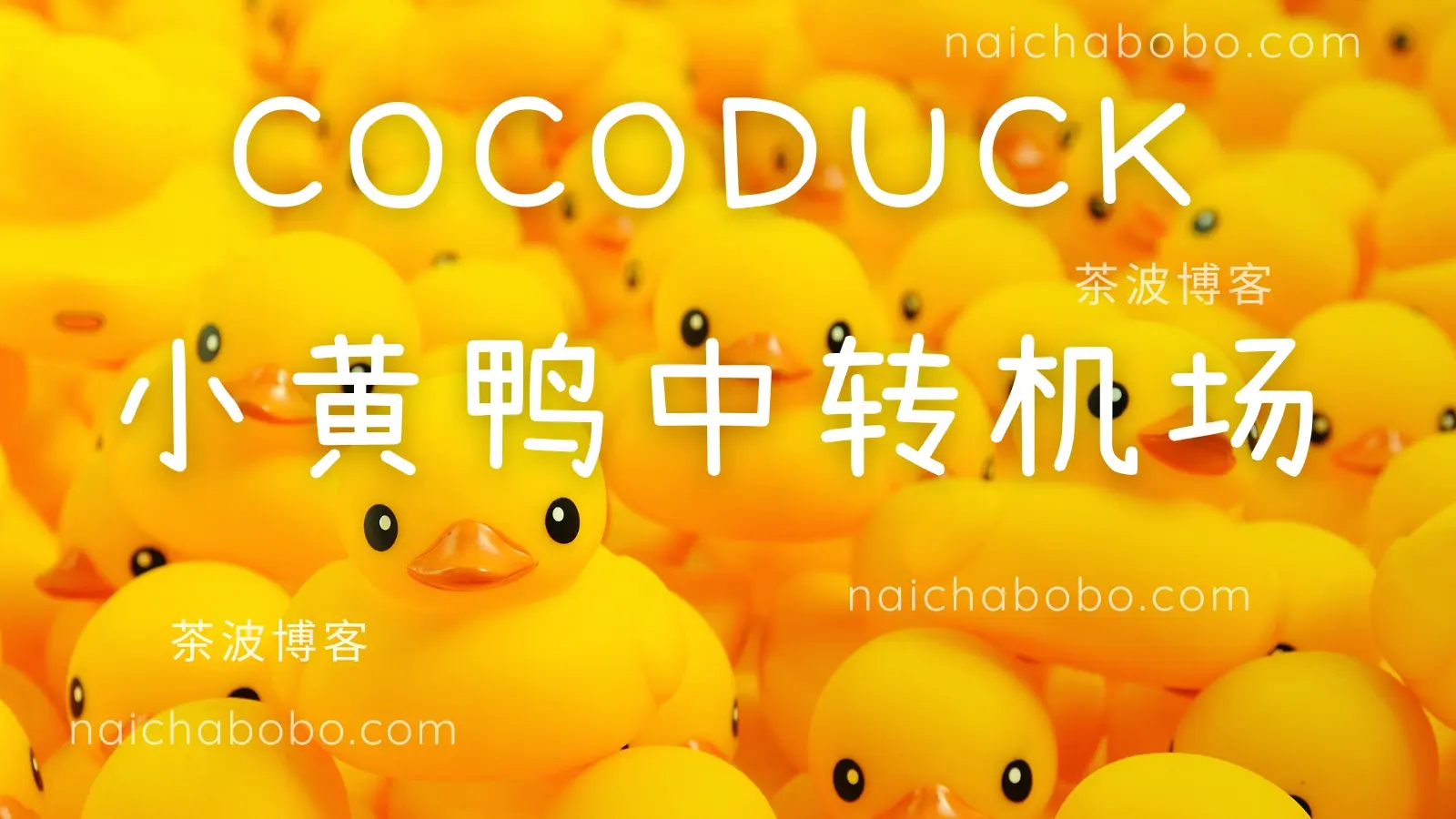 COCODUCK 小黄鸭机场测速&评测-茶波博客